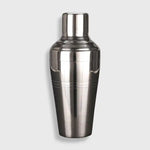 Shaker Cocktail Professionnel